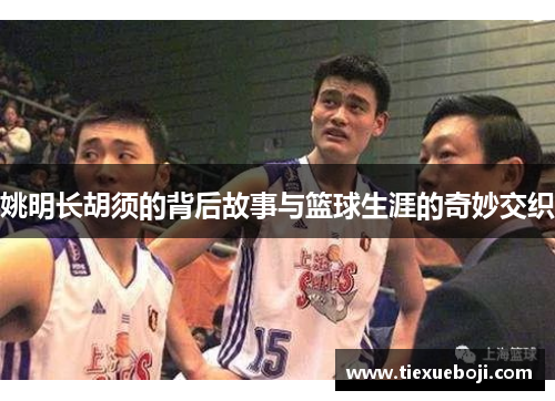 姚明长胡须的背后故事与篮球生涯的奇妙交织