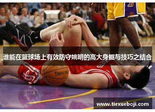 谁能在篮球场上有效防守姚明的高大身躯与技巧之结合