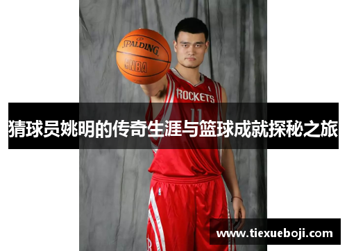 猜球员姚明的传奇生涯与篮球成就探秘之旅