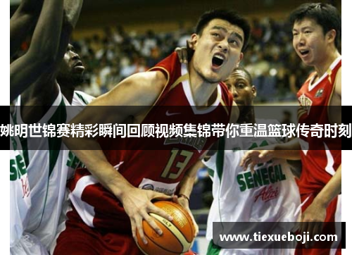 姚明世锦赛精彩瞬间回顾视频集锦带你重温篮球传奇时刻